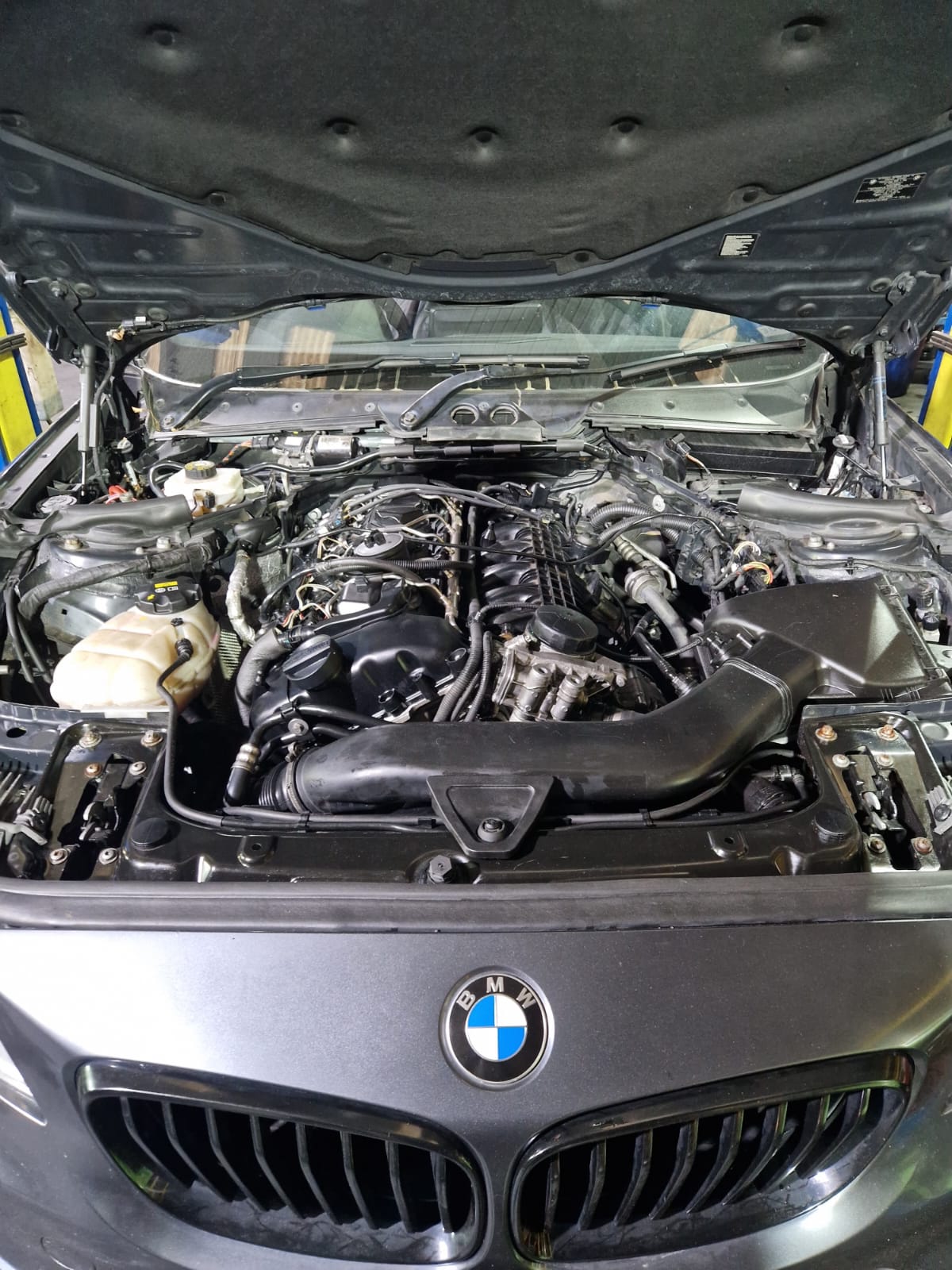 BMW Engine Bay
