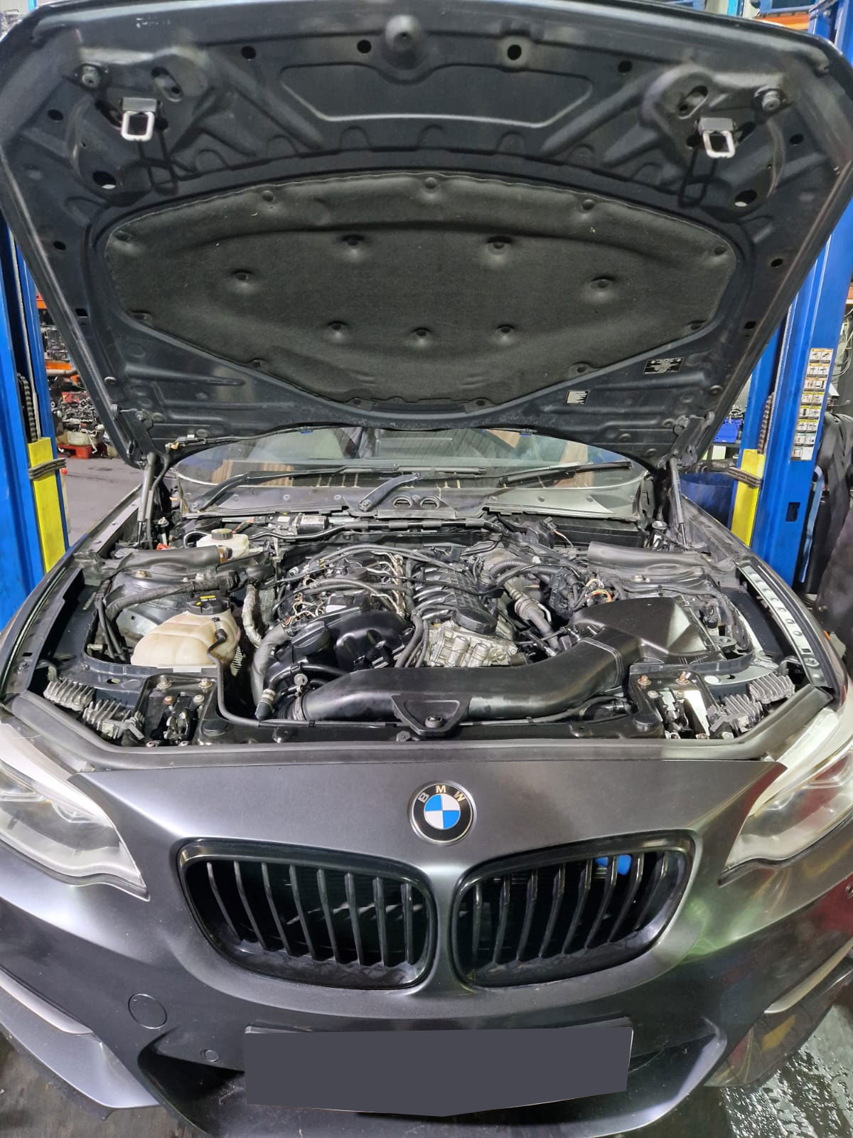 Engine Compartment Detail